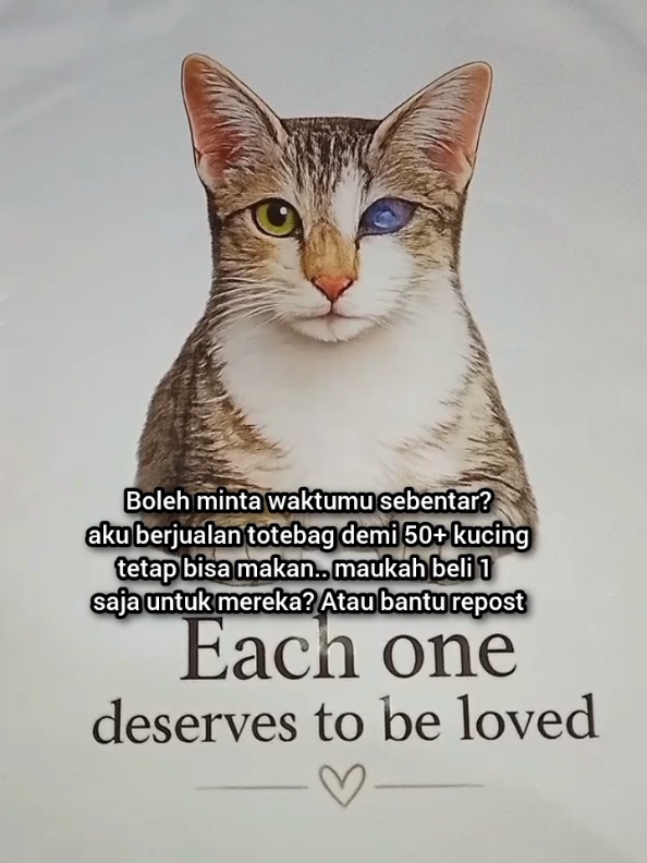 @Kucing Rumah Ronal
