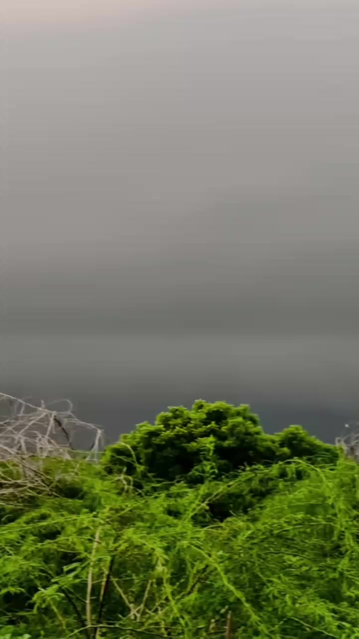 @فوزیا۔ ۔۔۔۔۔۔سومرو۔۔