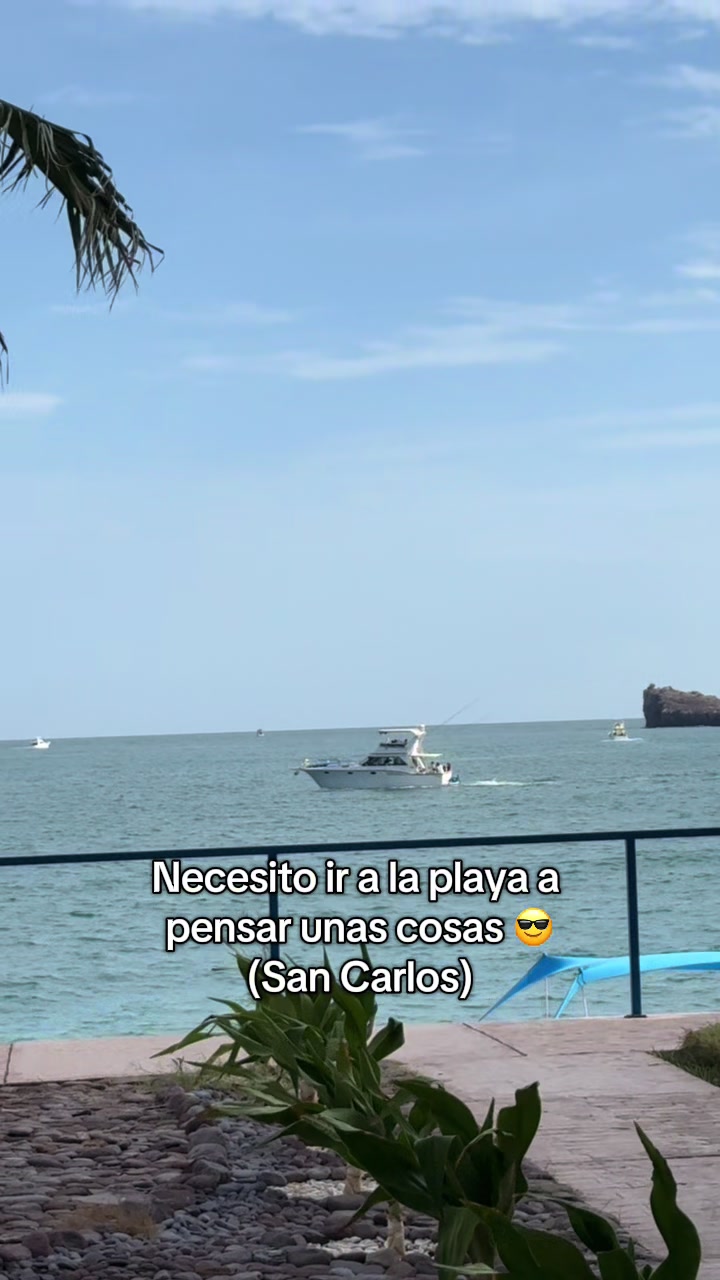 @Jesus Manuel Z R