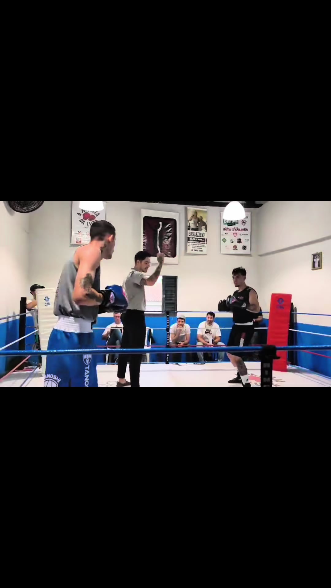 @Ariel🥊