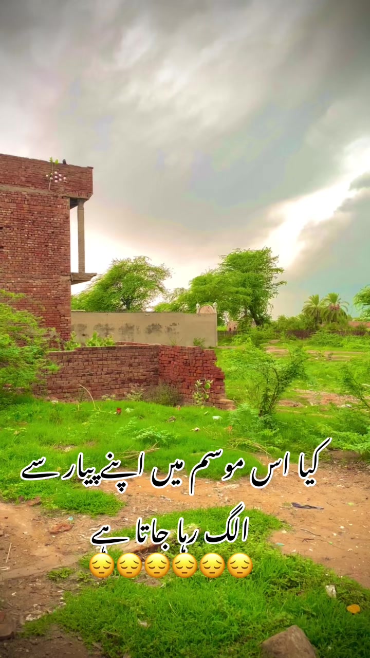 @foji sajjad