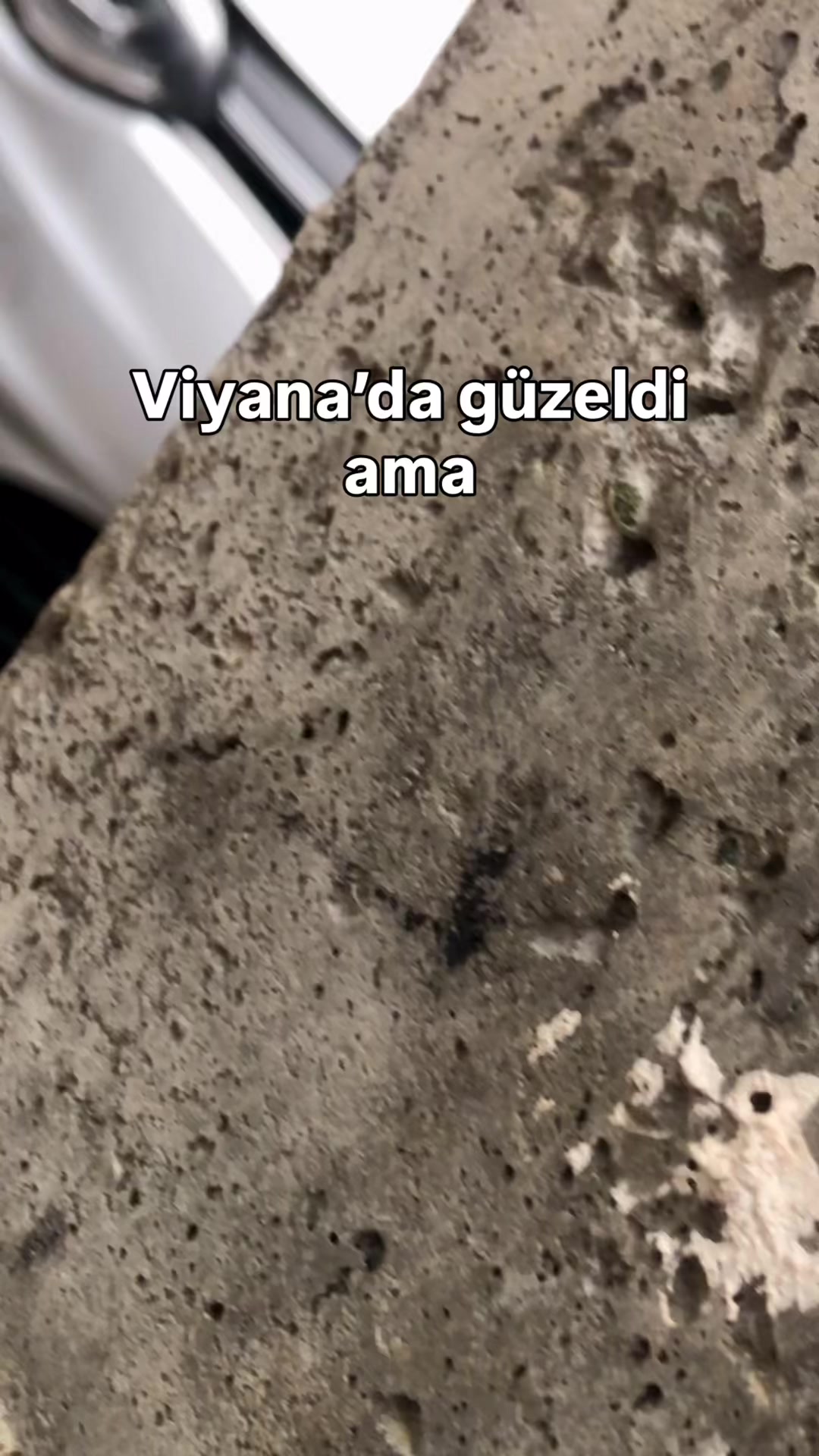 @graymegane4