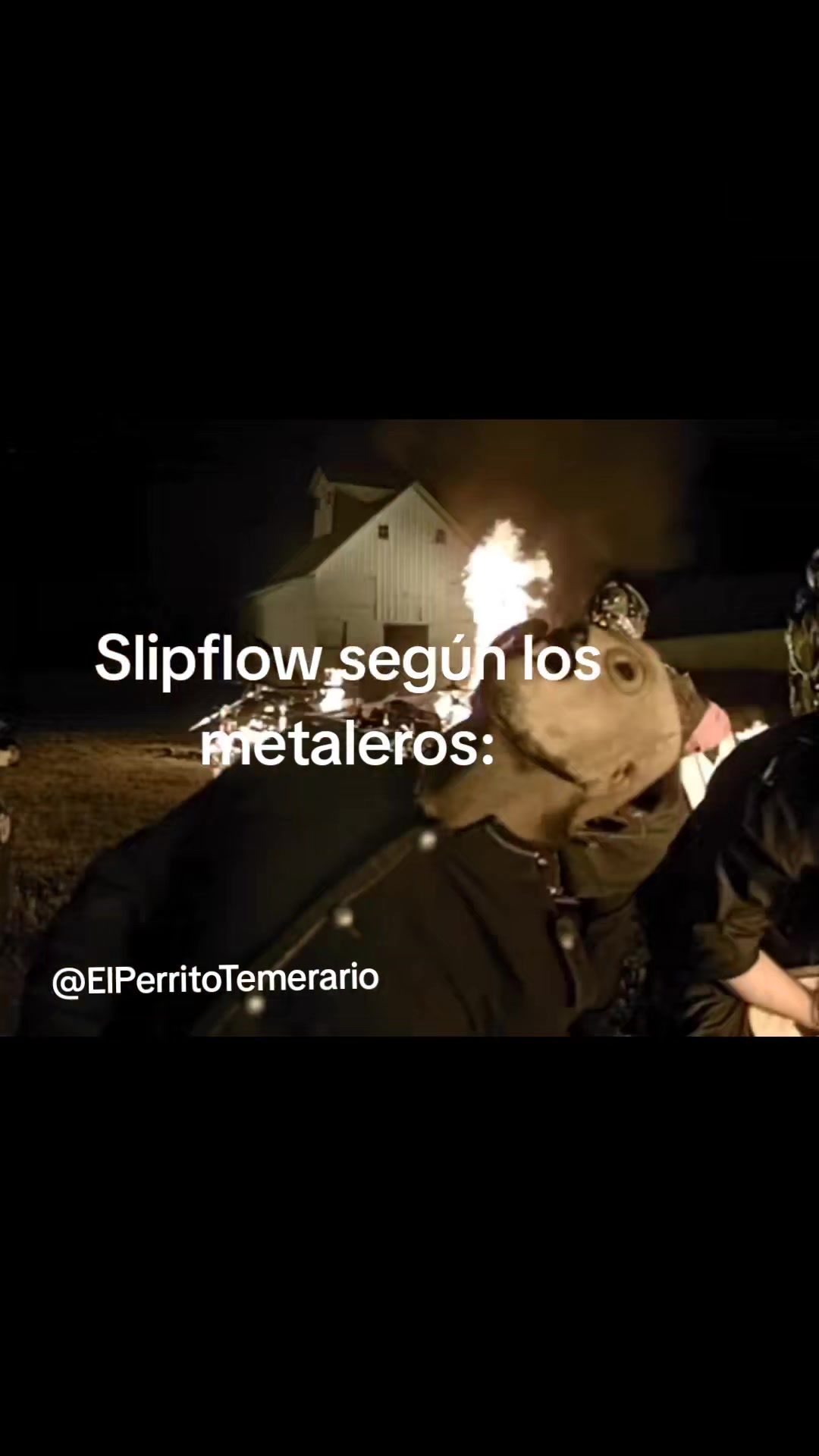 @ElPerritoTemerario
