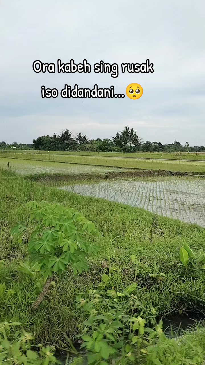 @Leida Zinc