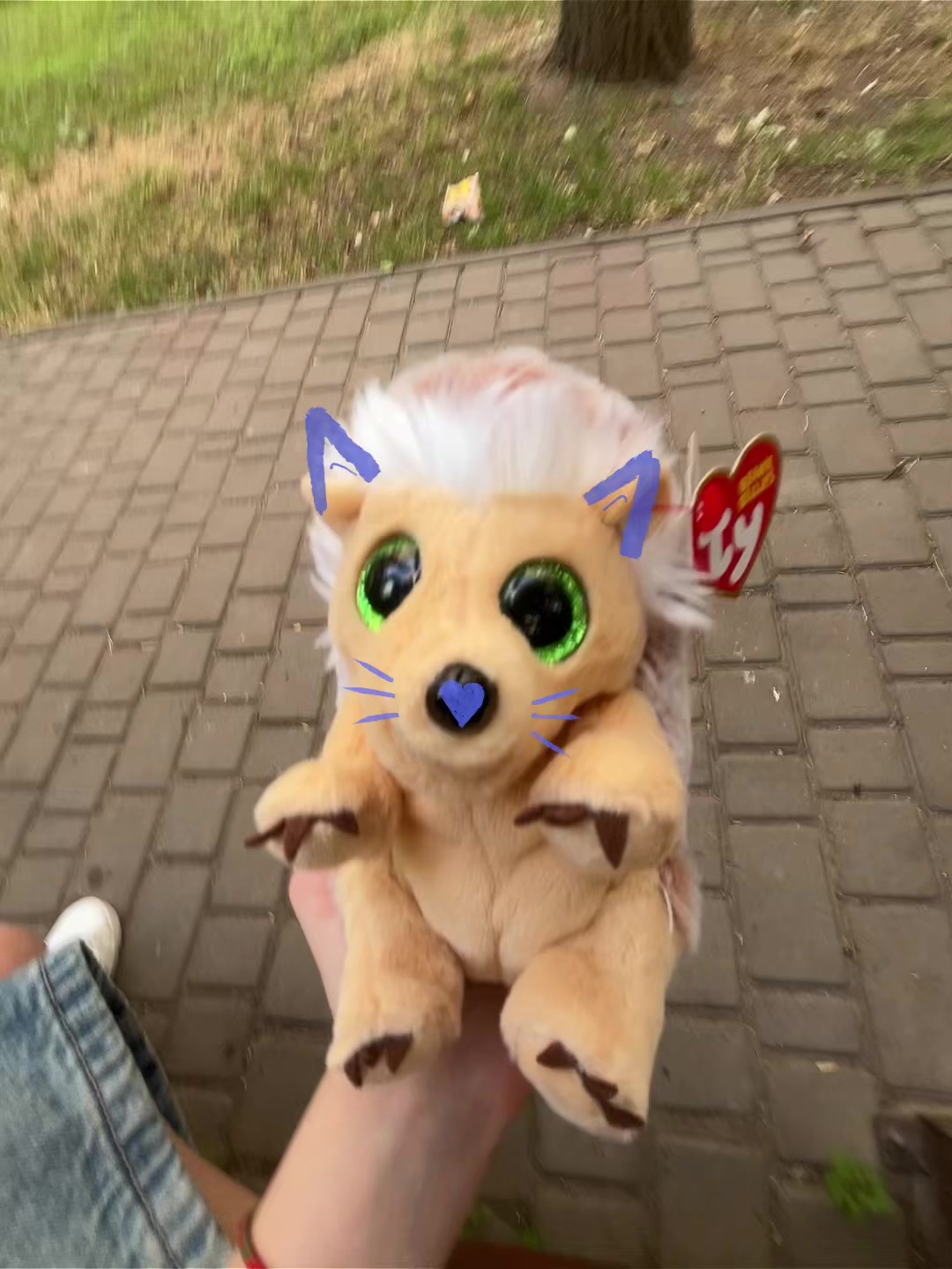 @viskas