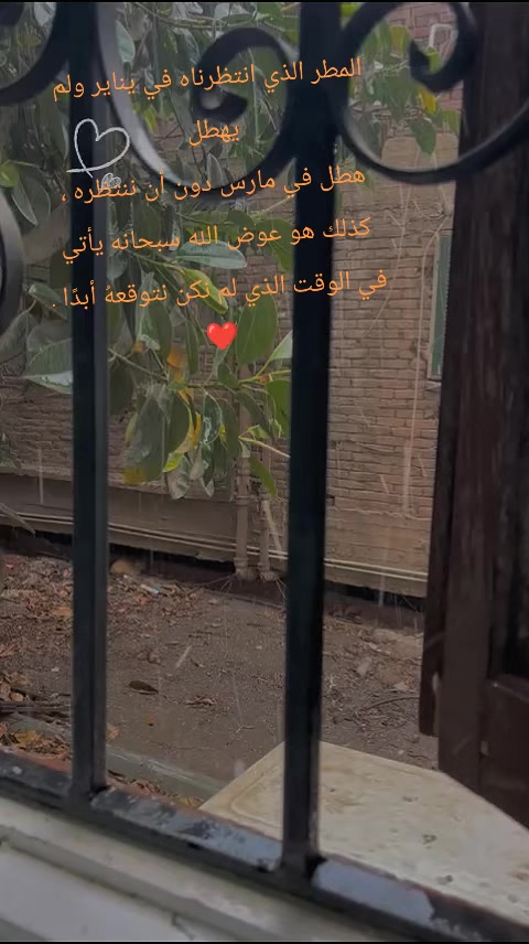 @Rahma🐨