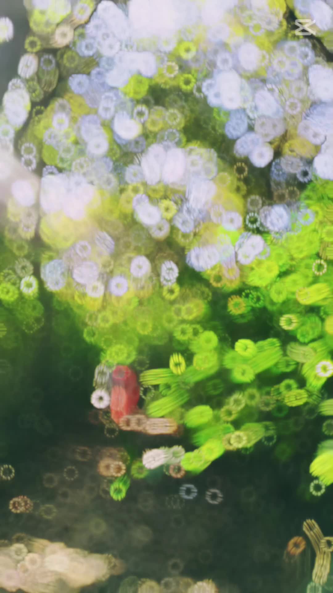 @💚R🧡D🧡N💚