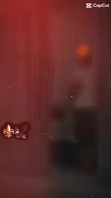 @ヅ🔗𝒊.𝑻𝑺_𝑹𝑨𝒁𝑨,5🔒﹄