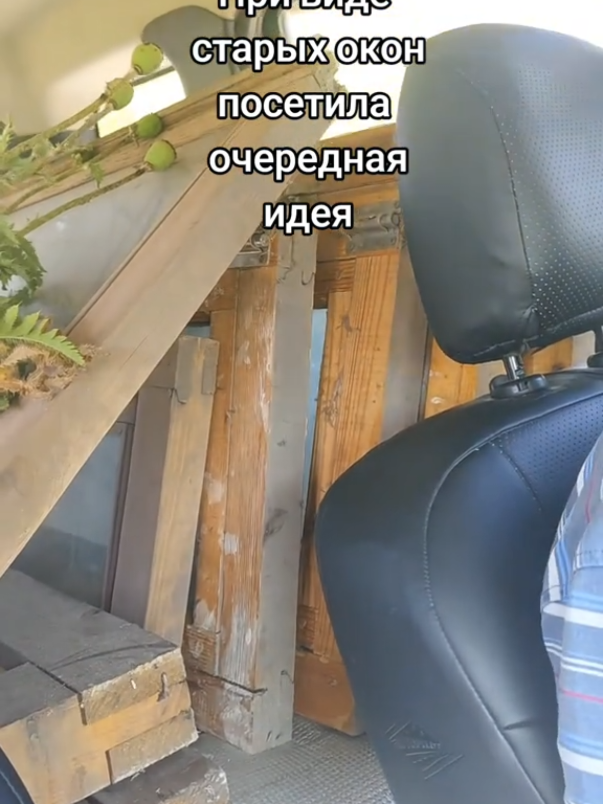 @Жулик на даче