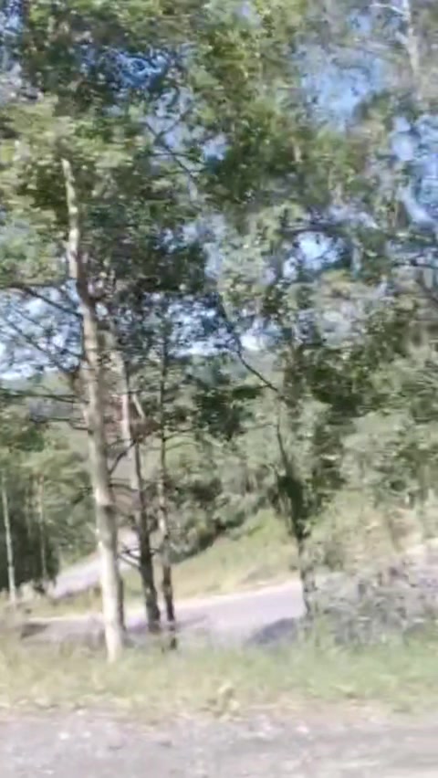 @reginabelaeva010713@mail.ru