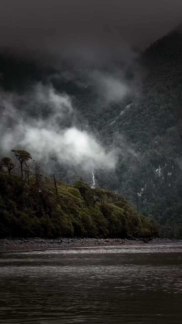 @Nature Vibes