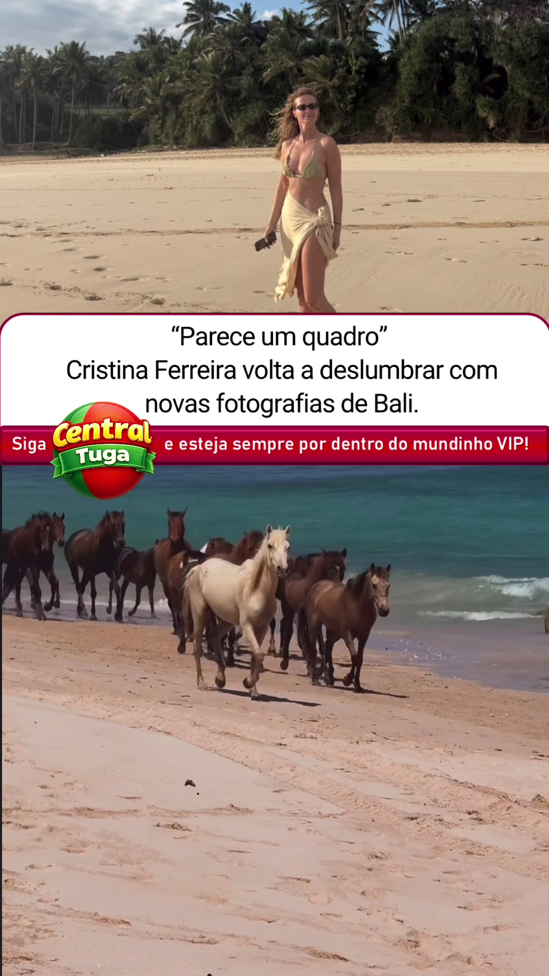 @centraltuga_
