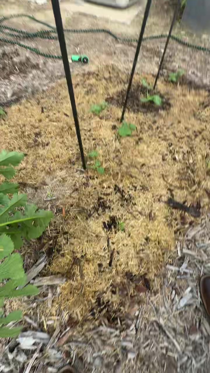 @themagicvalleygardener