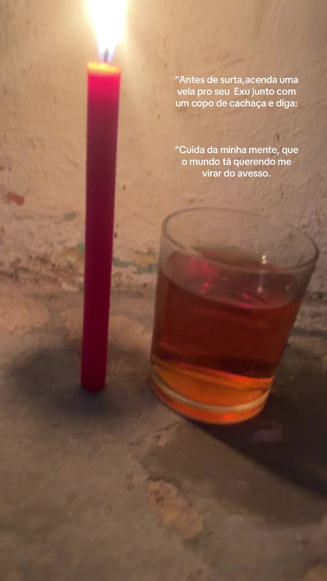 @Gabrielly tavares
