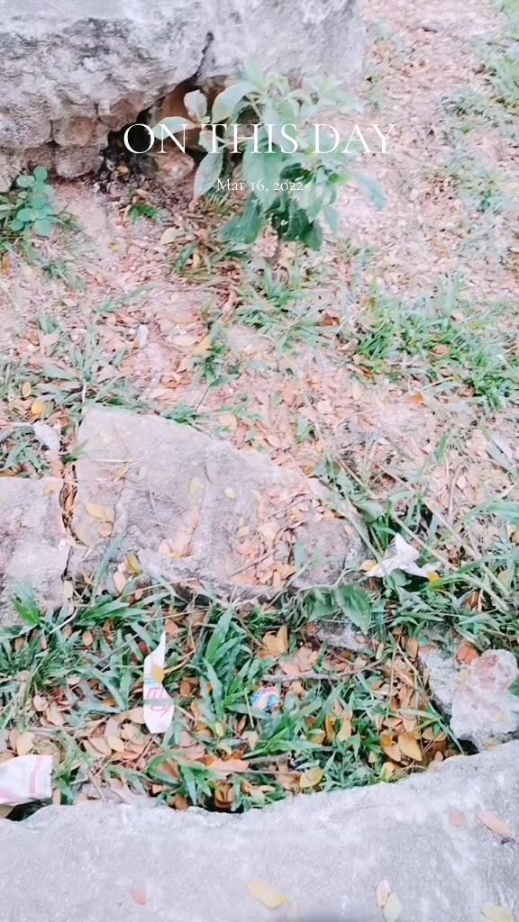 @🥀Ⳣᰈ།᭄തဖꩢ᭄ᰈᮀ། ᤌ𑂞ཉលᰈᮀ།🩵🔏🥀😔
