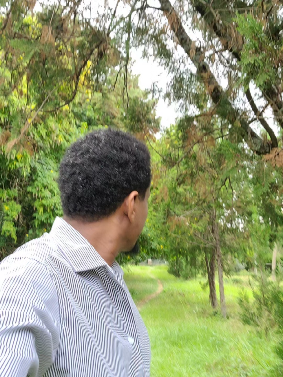 @Muna Tilahun 艾柏
