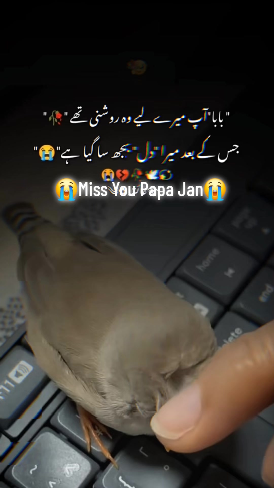 @Ali butt*M*786