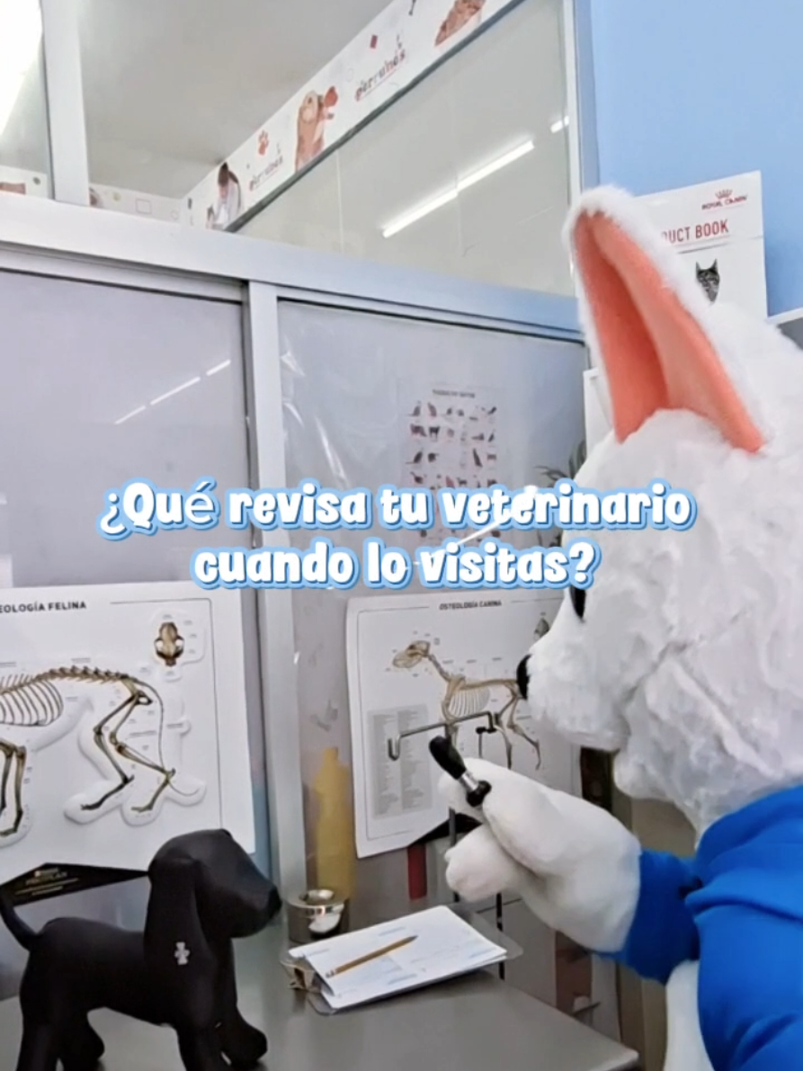 @Perrunos Veterinaria