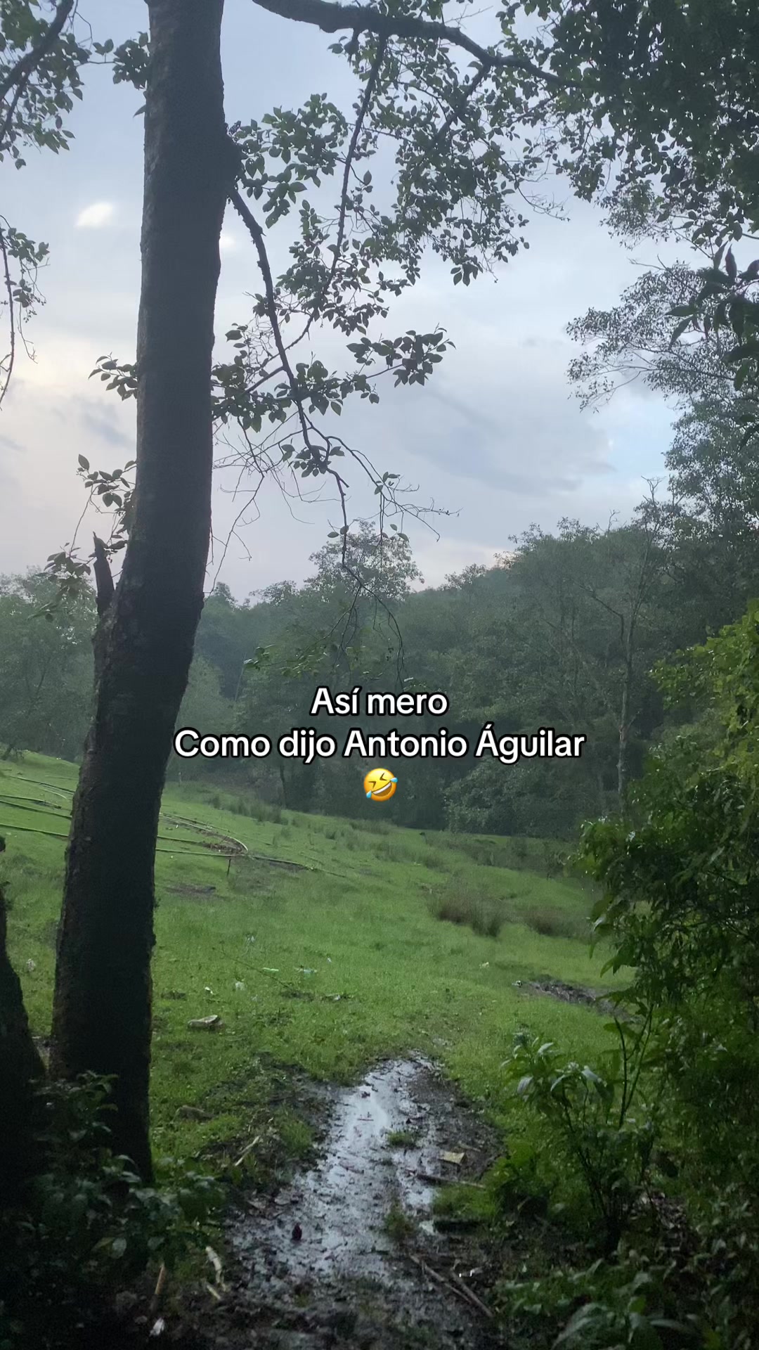 @Aangelito 