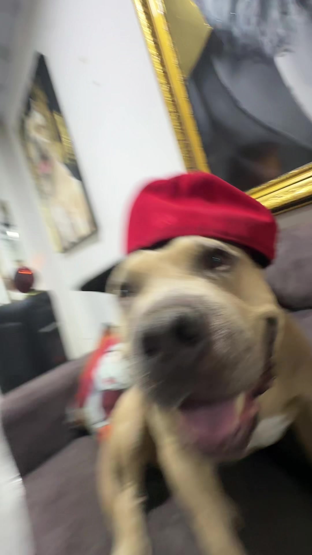 @Vikingo606