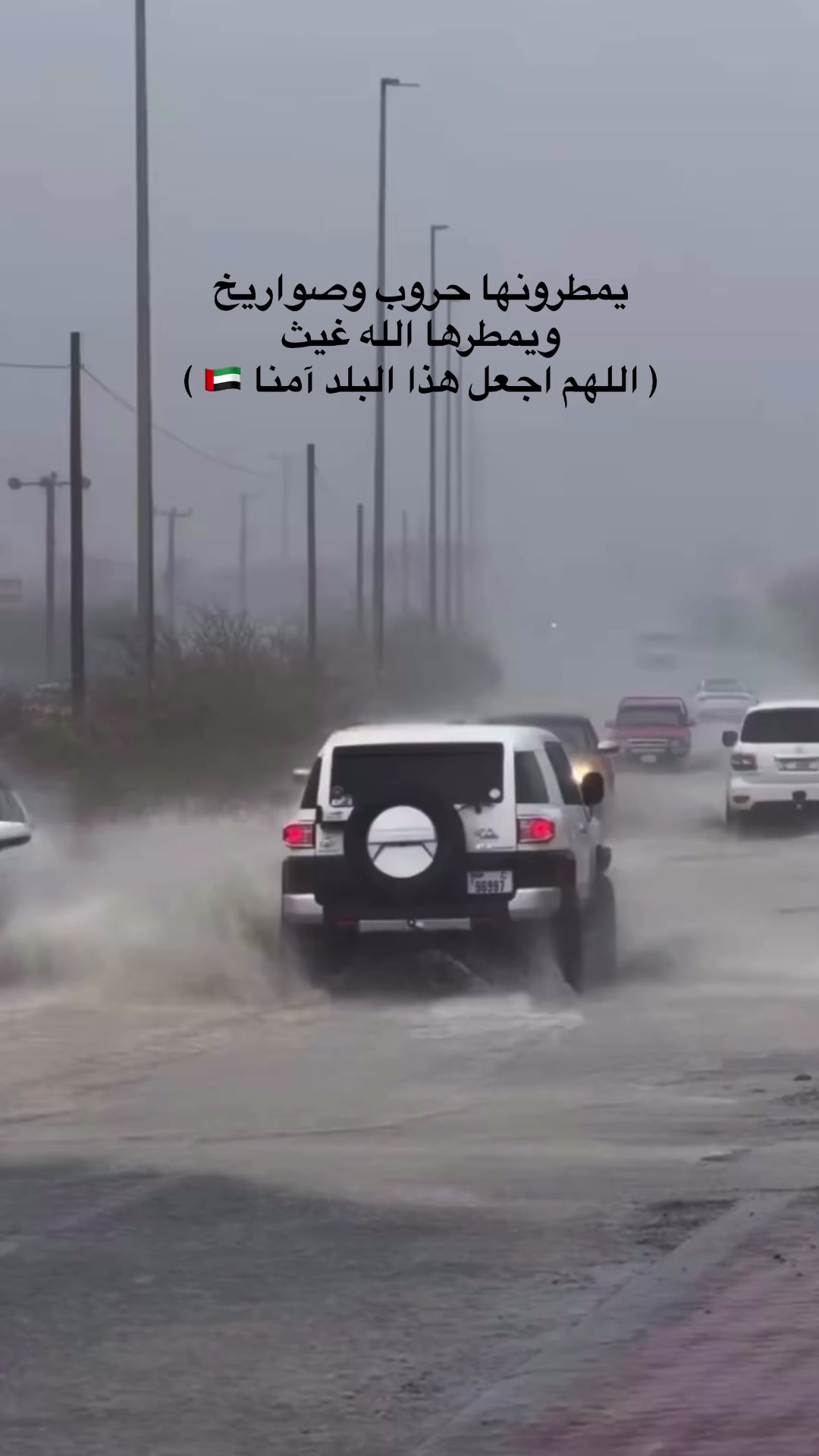 @mmalain_omzayed