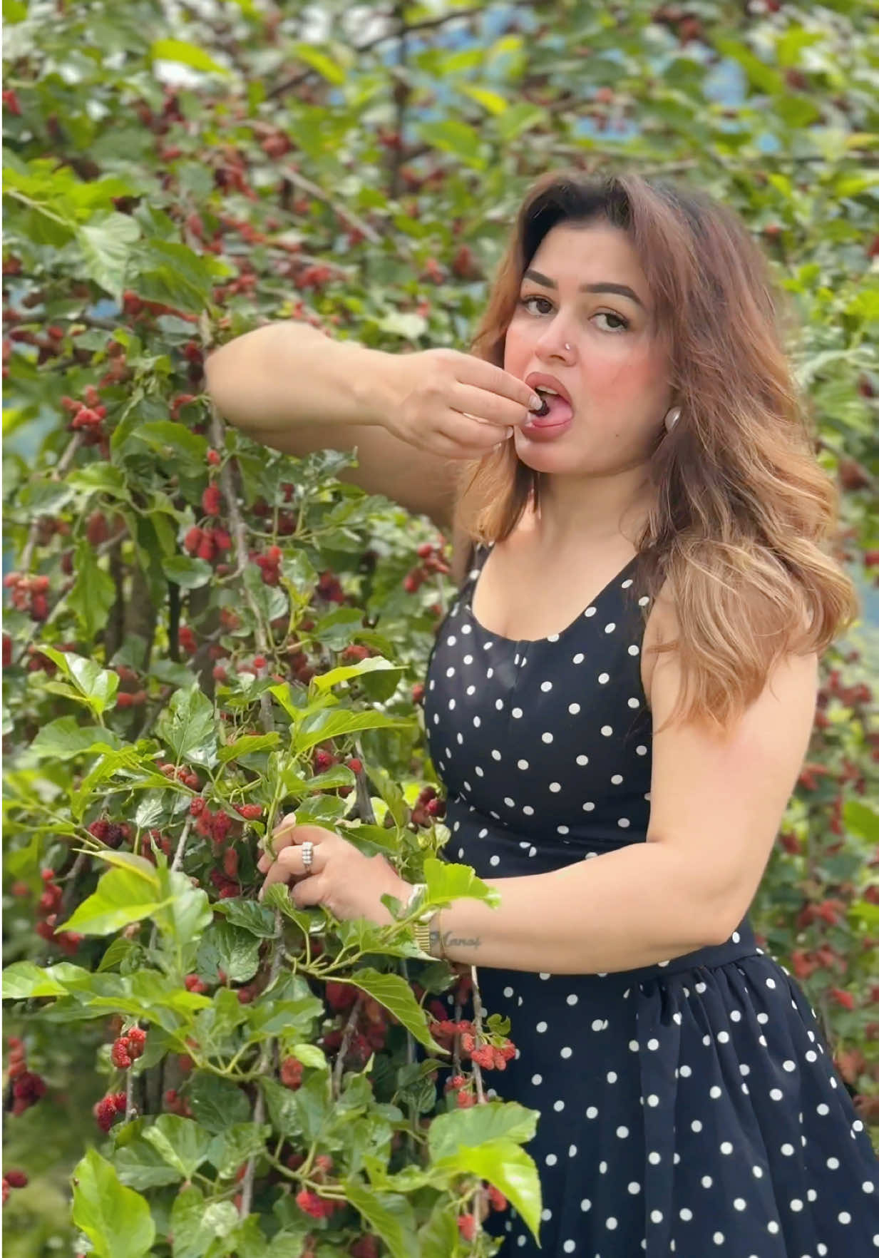 @ankita chettri
