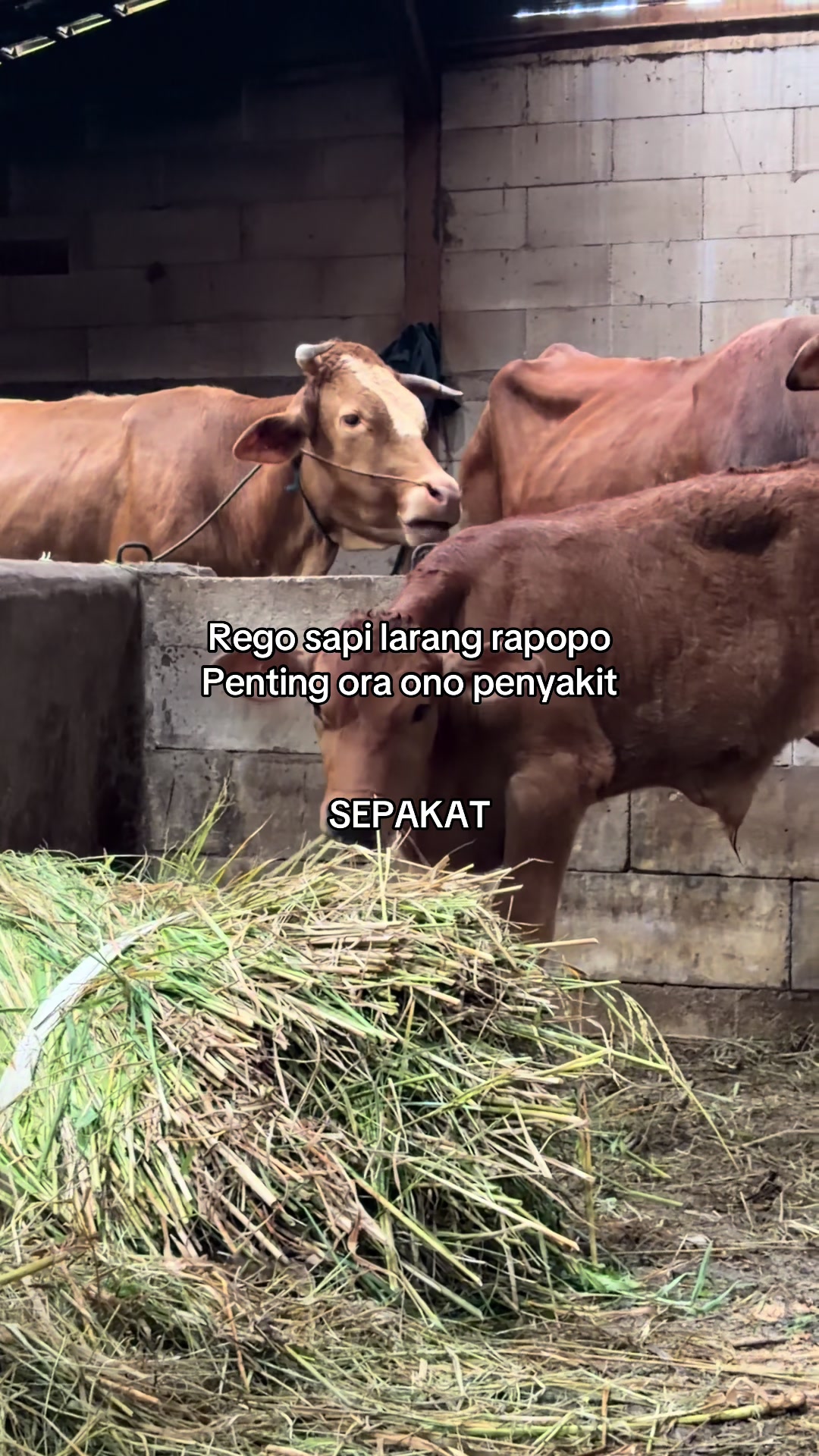 @zero farm