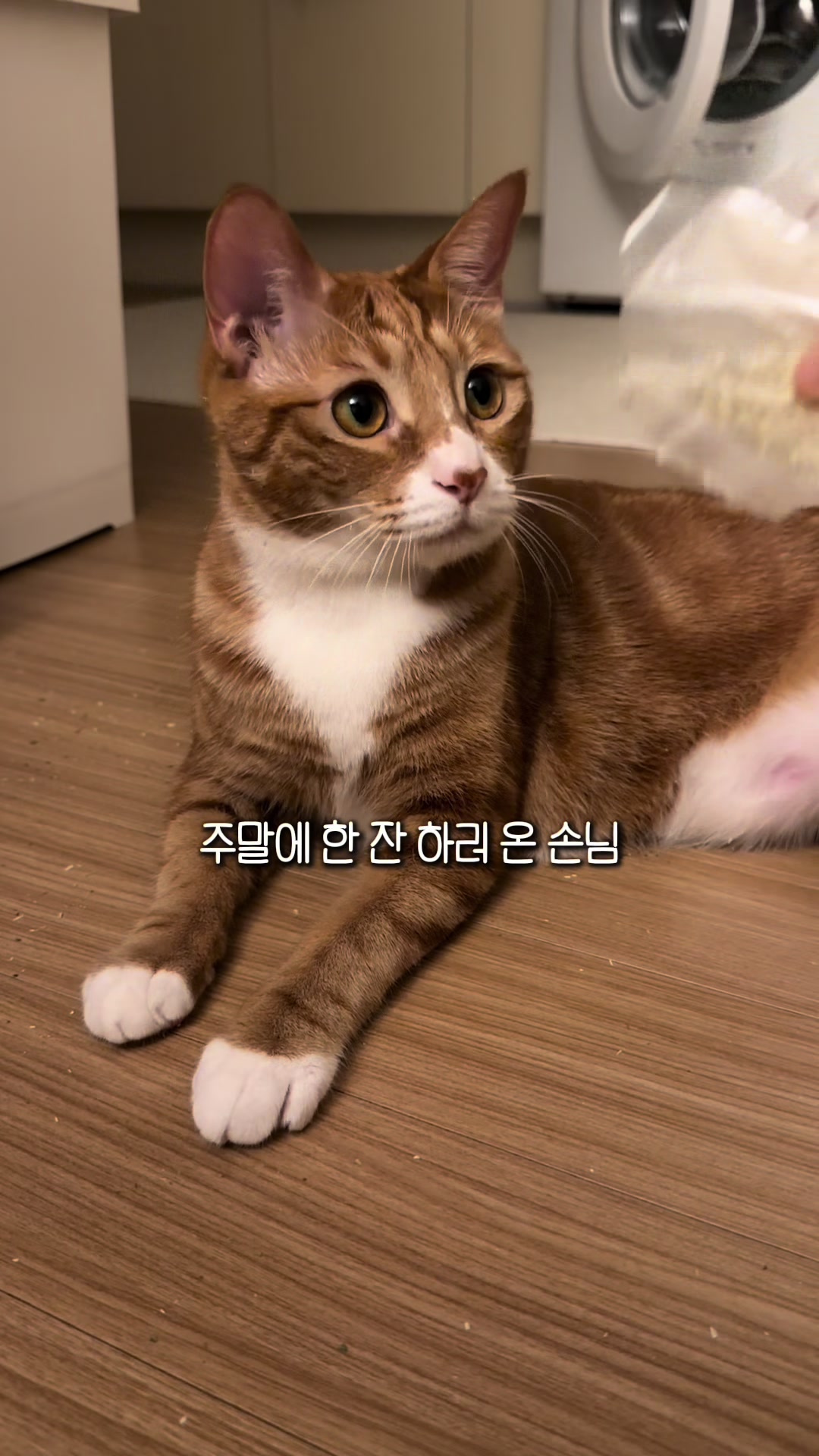 @뮤춘삼