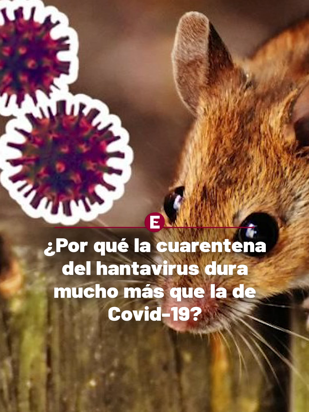 @Periódico Excélsior