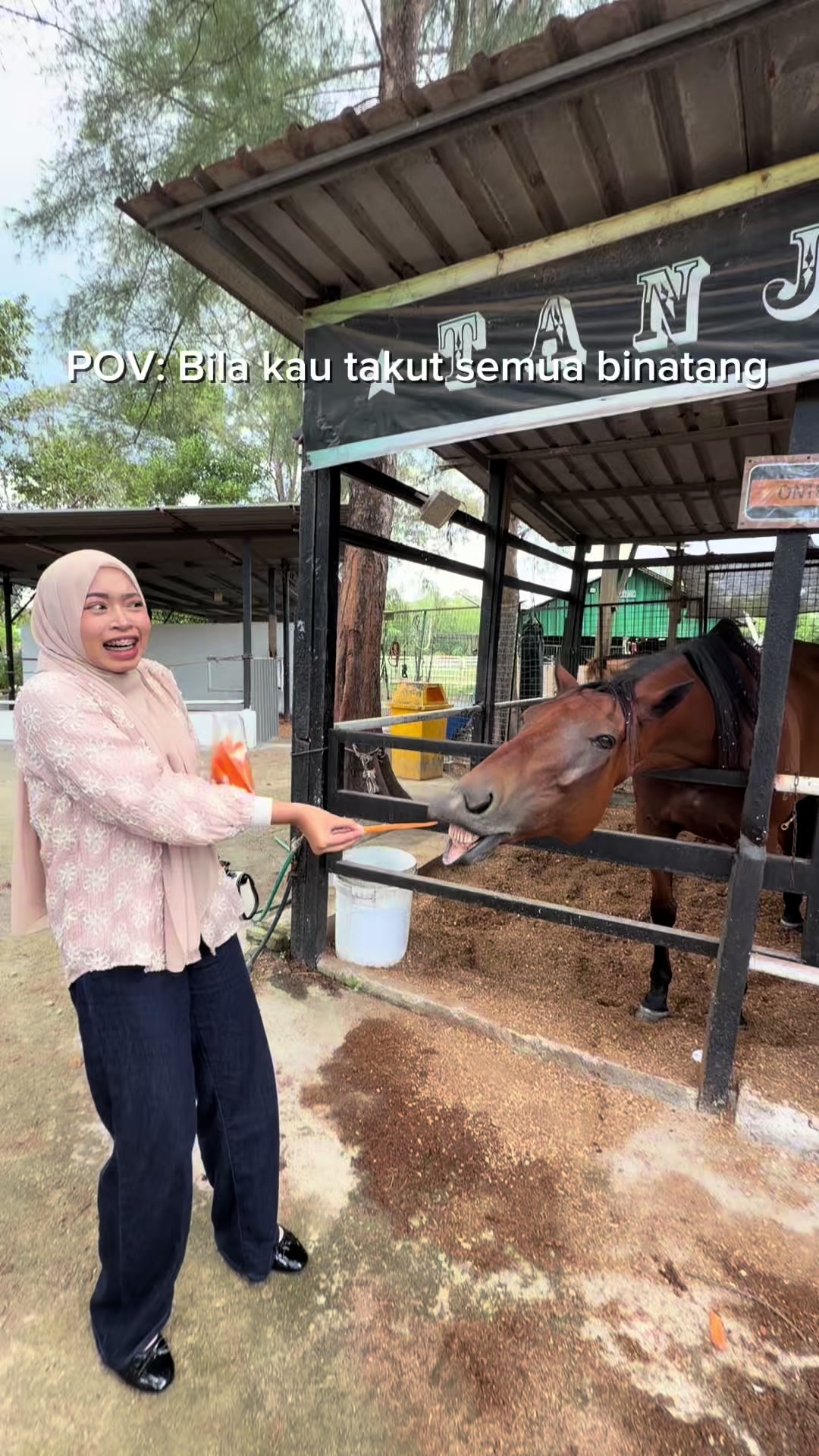 @Iqaaaa 𐙚