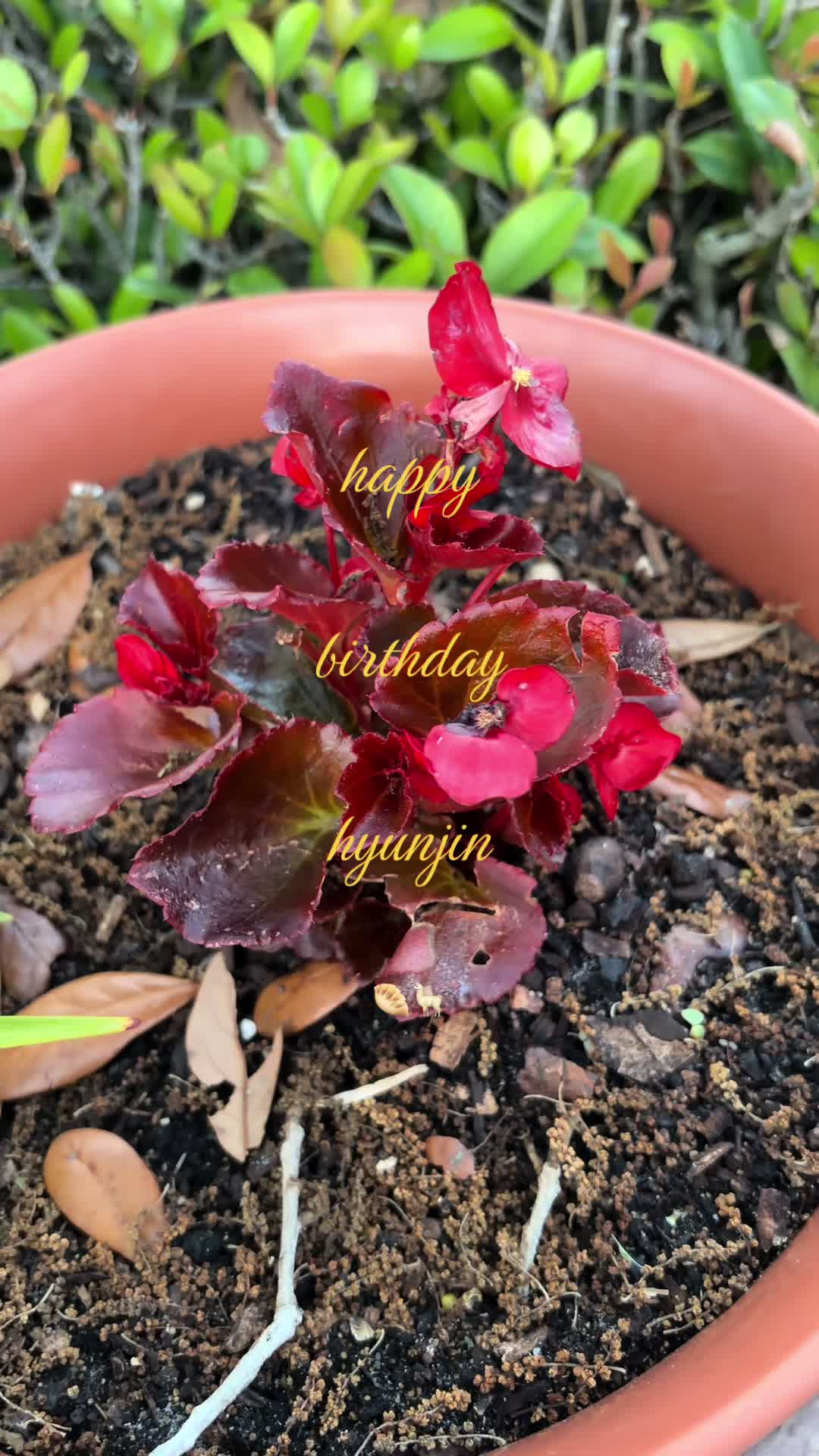 @⏤😍͟͟͞͞☆꙰ t.o.p !