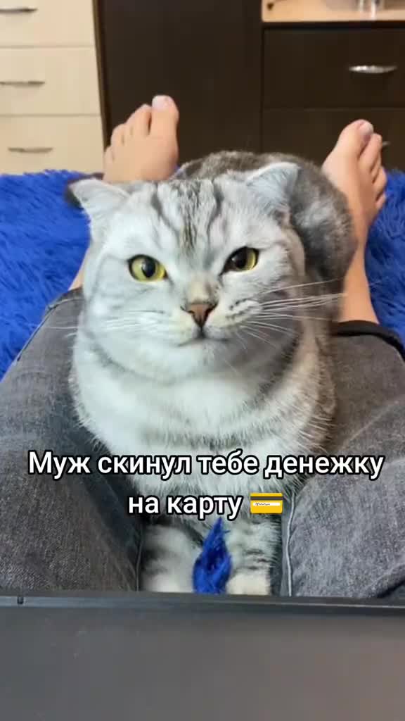 @Виктория Чеверикина