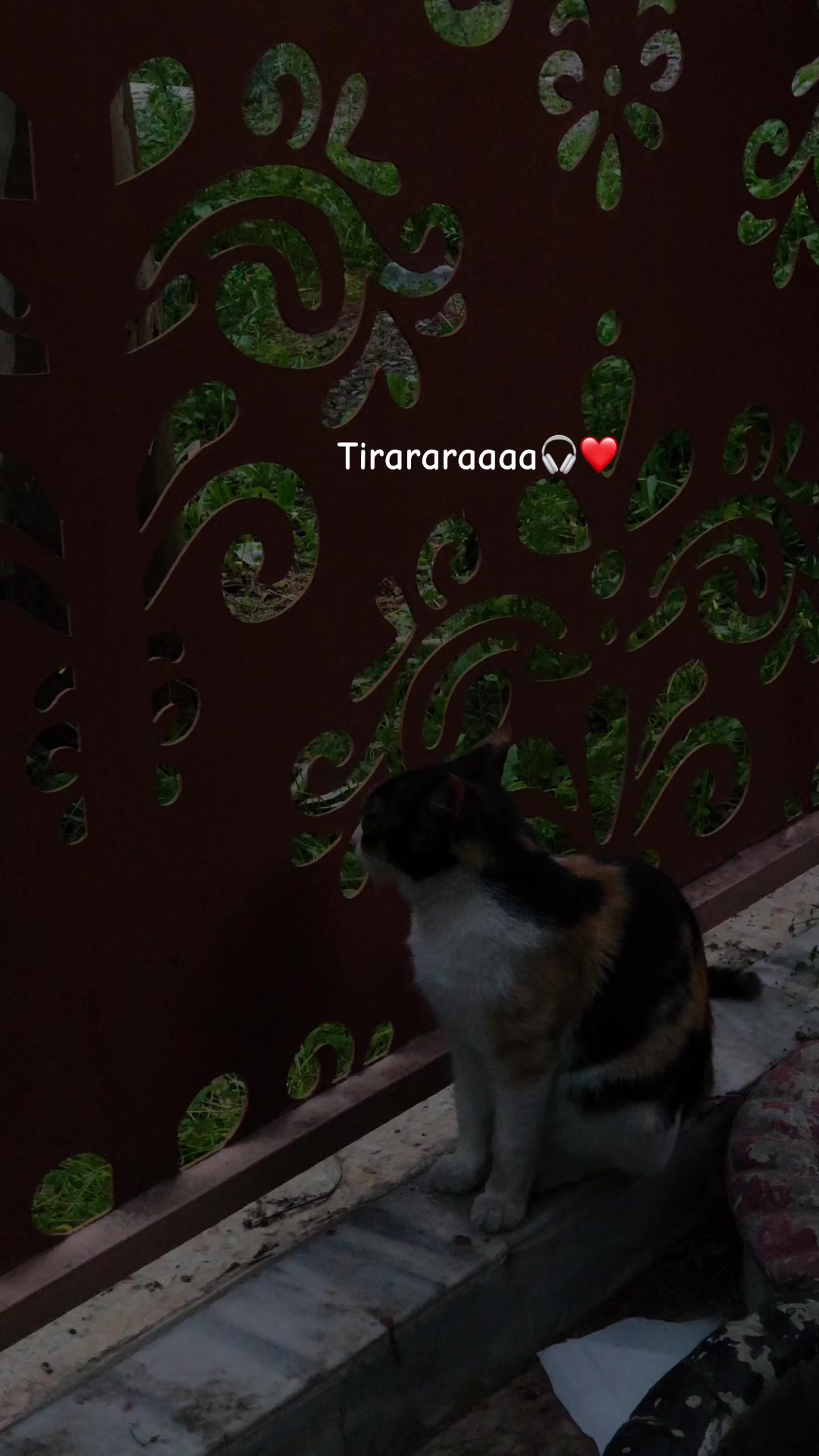 @Louly moon 09๐