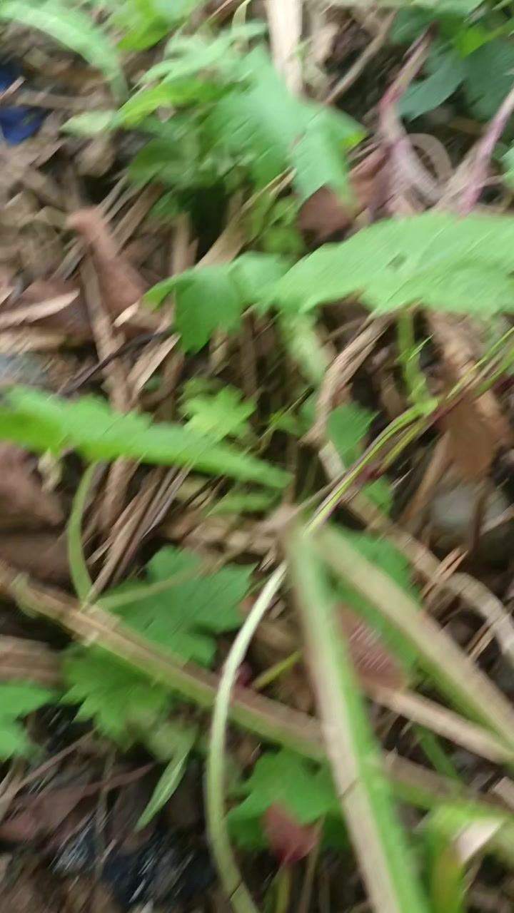 @lypaypz91