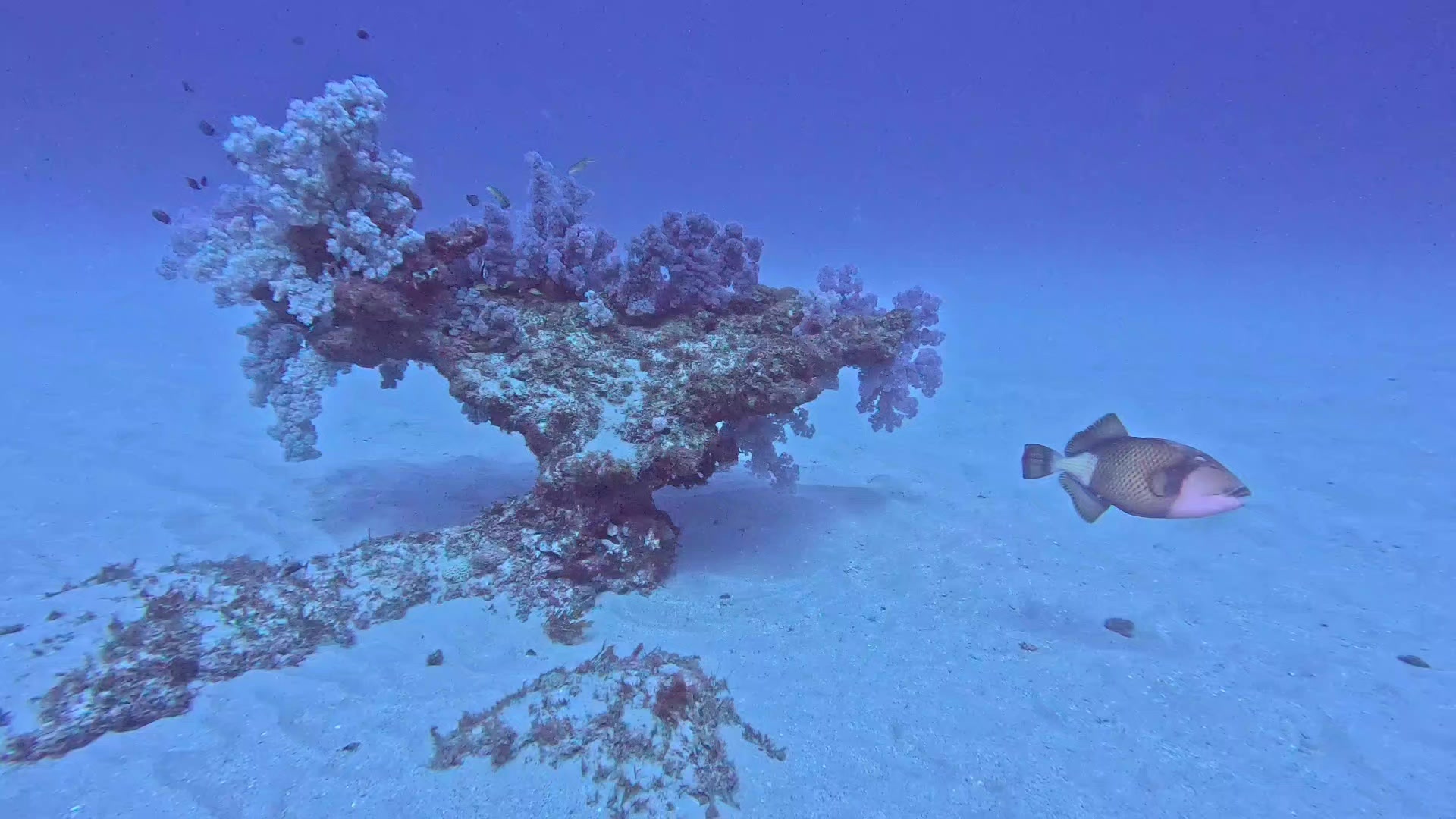 @gabby👴