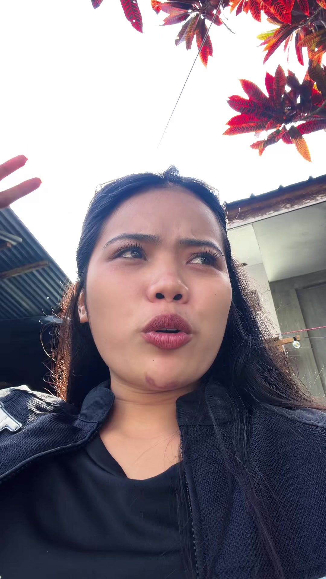 @Ms. Viness