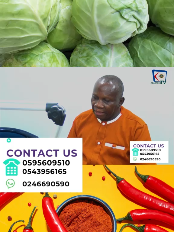 @Agadarko Media
