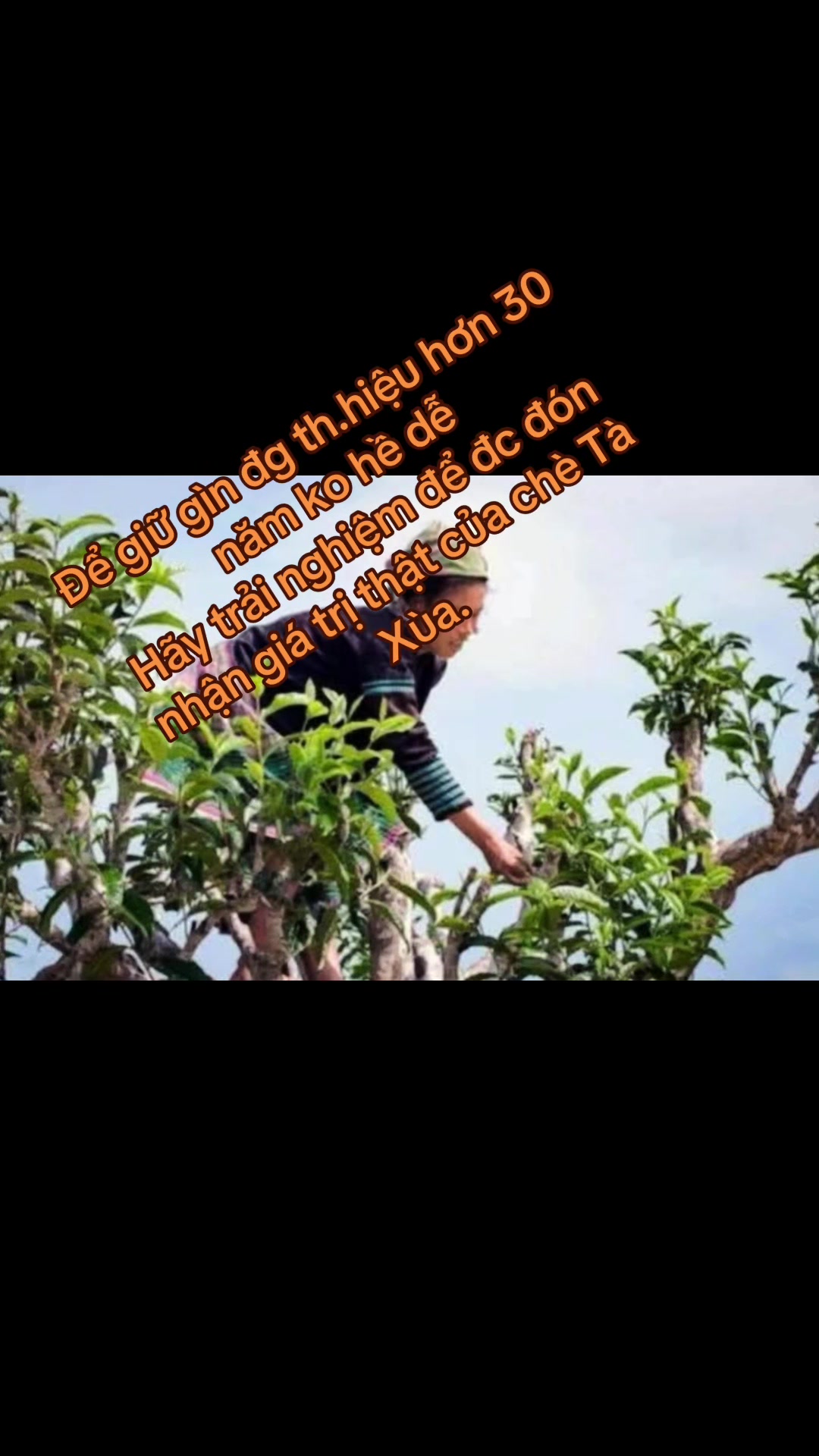 @Hoa sún ( nhí nhố)