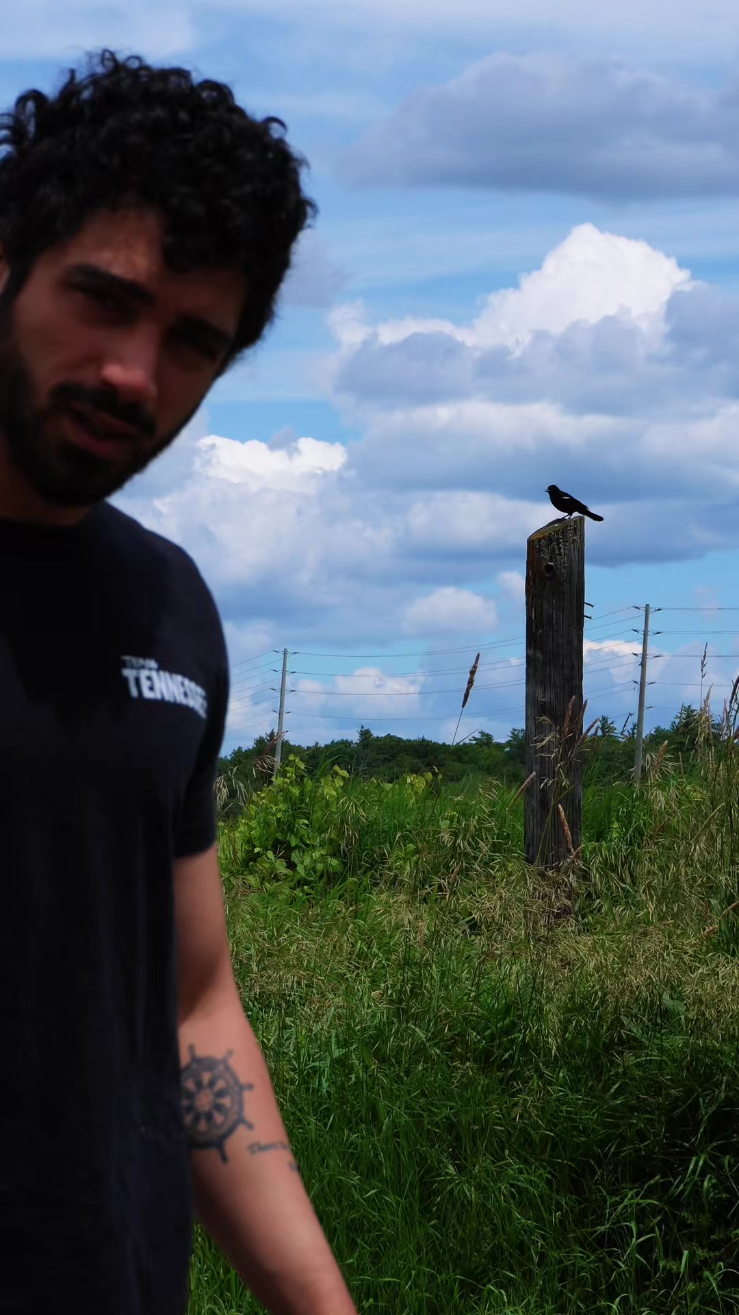 @grayybird 🐦