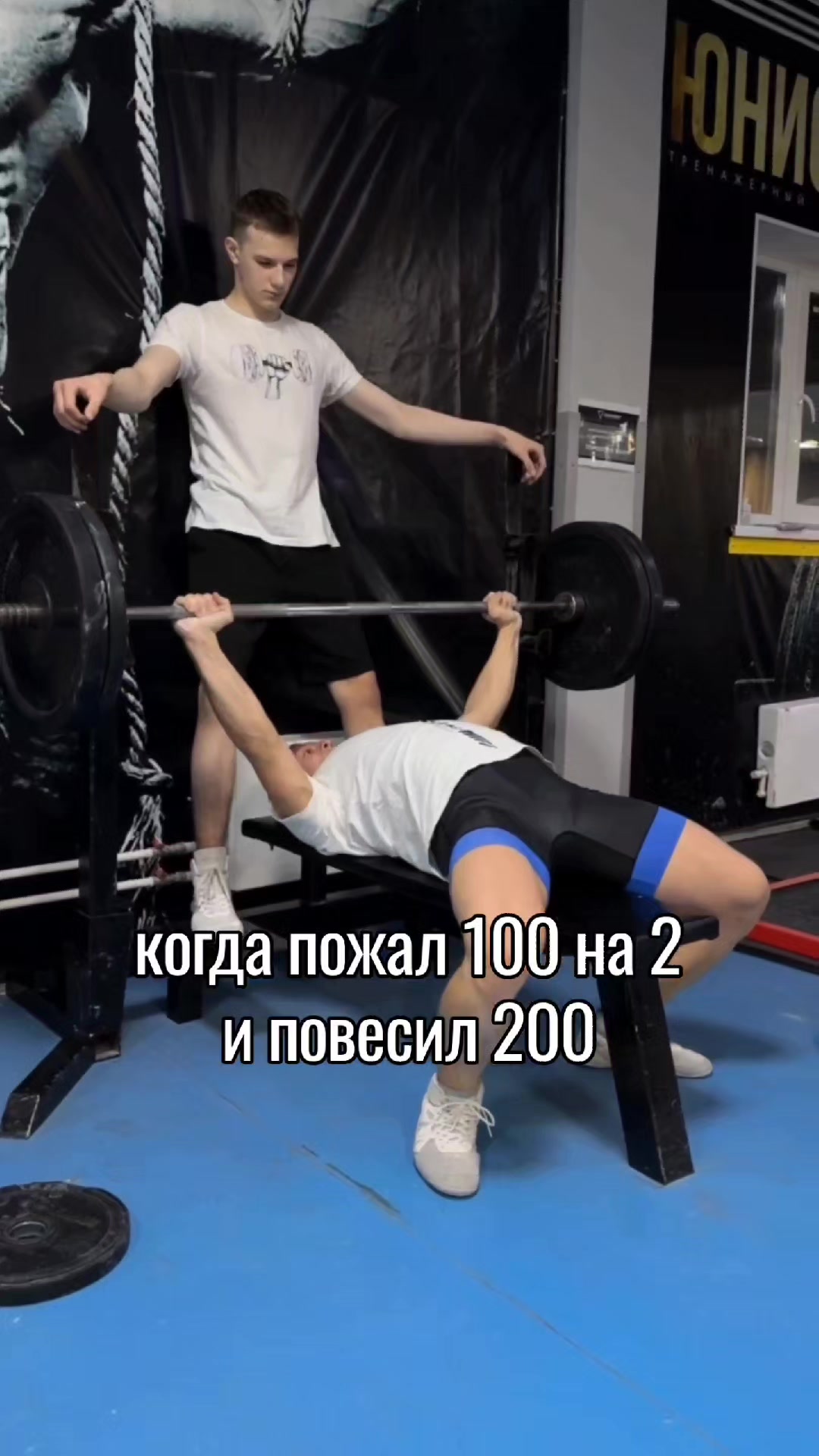@мини кинг конг🦾