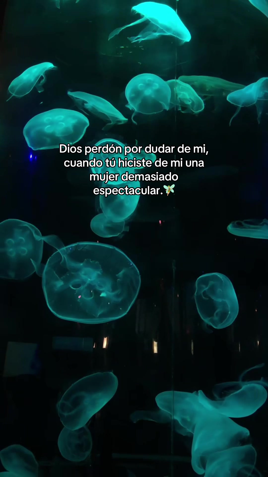 @🧚🏻