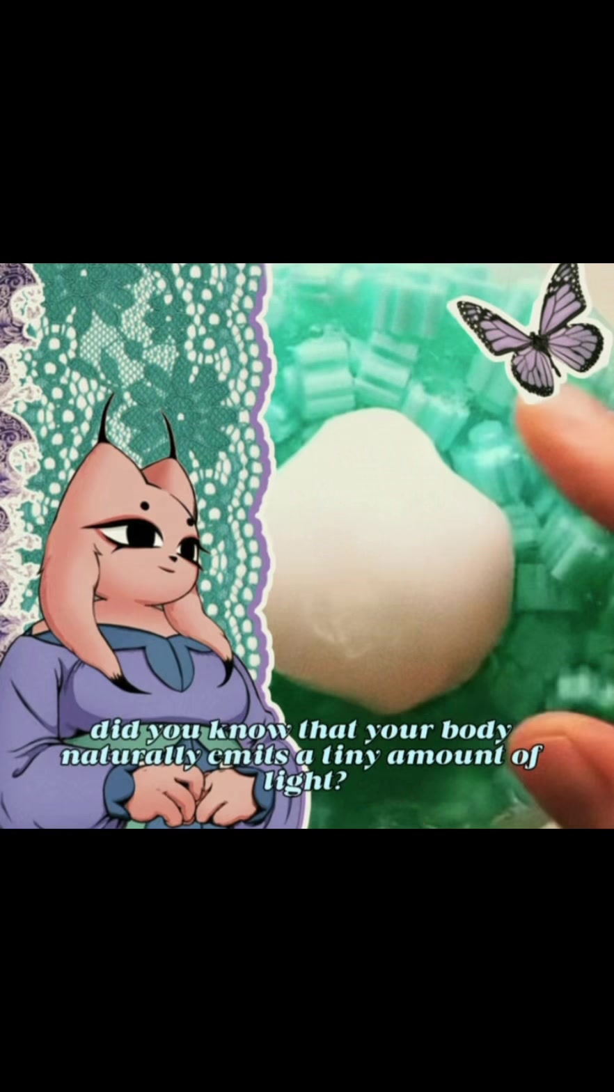@Philosophy Feather