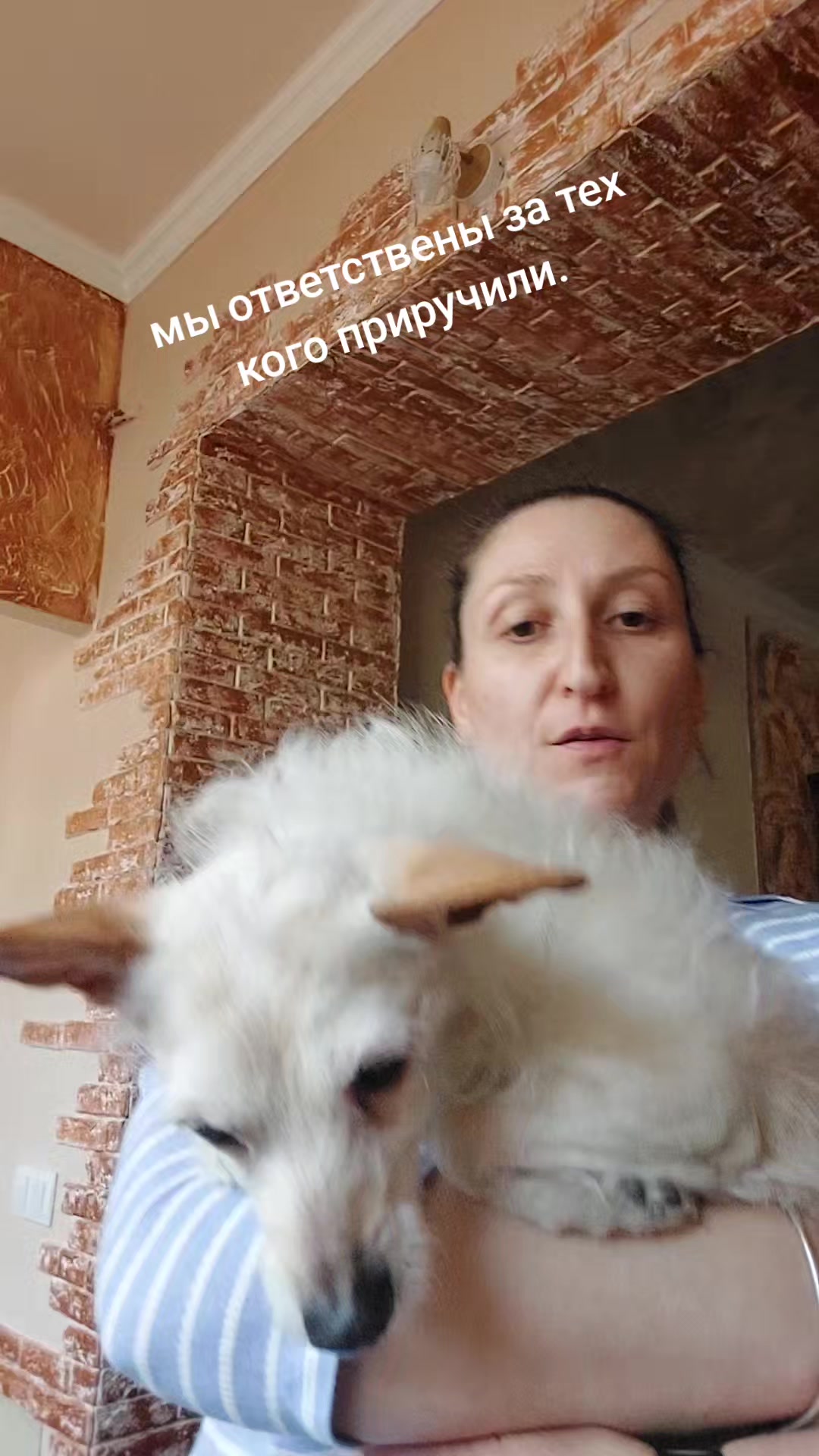 @Анна Азизян