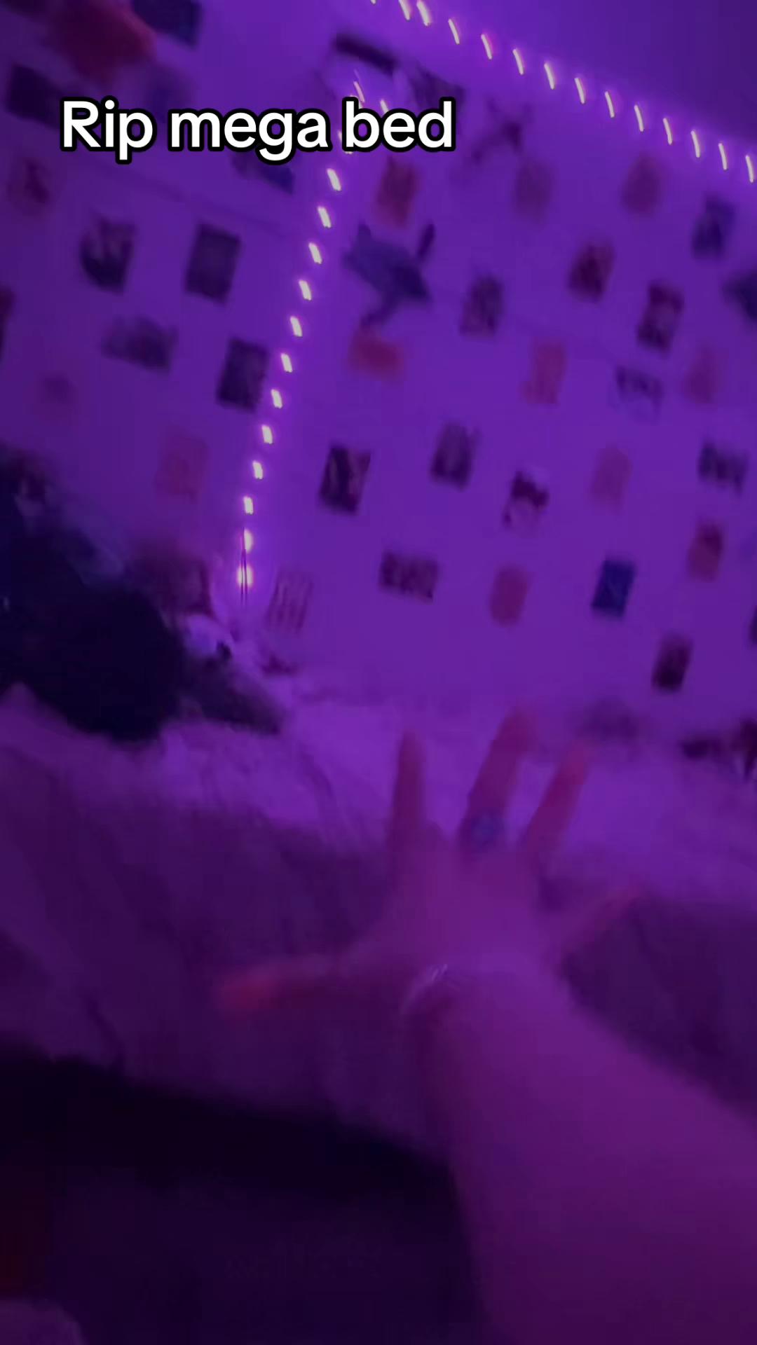 @🎀Dani🎀