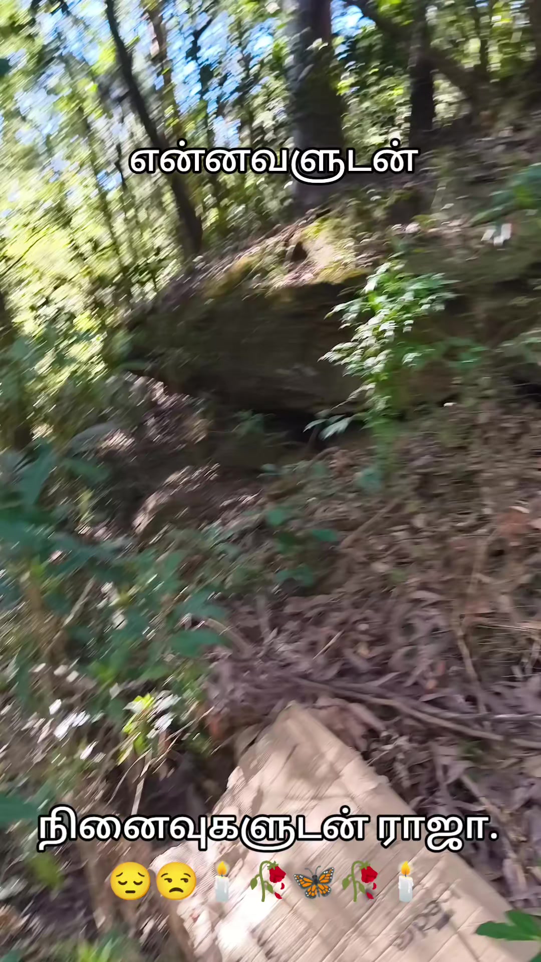 @Hanu RAJA