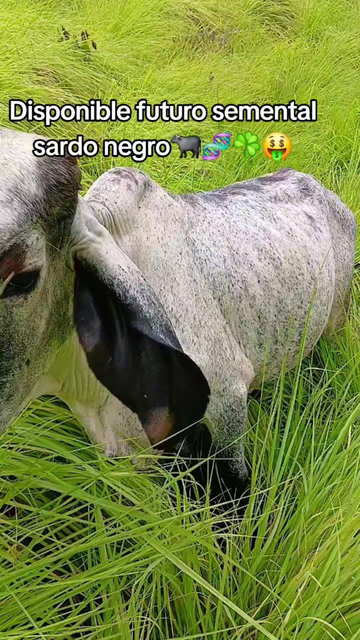 @Rancho Escondido🐂🐄🐃📿🌾🙏