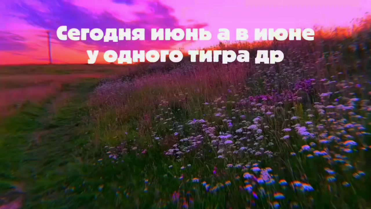 @kto kto?