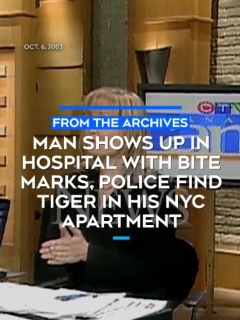@CTVNews
