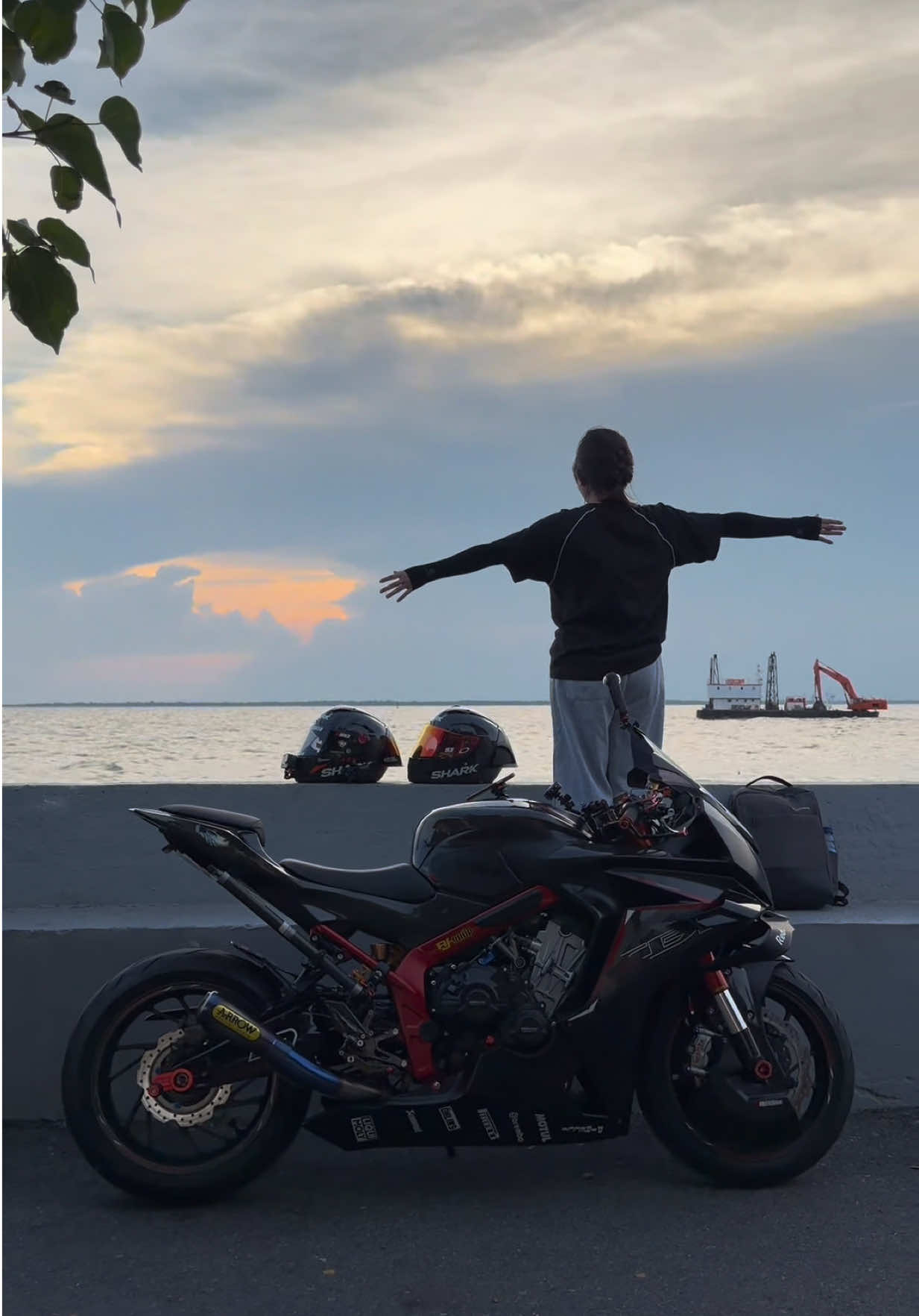 @TEE | CBR650 🏴☠️