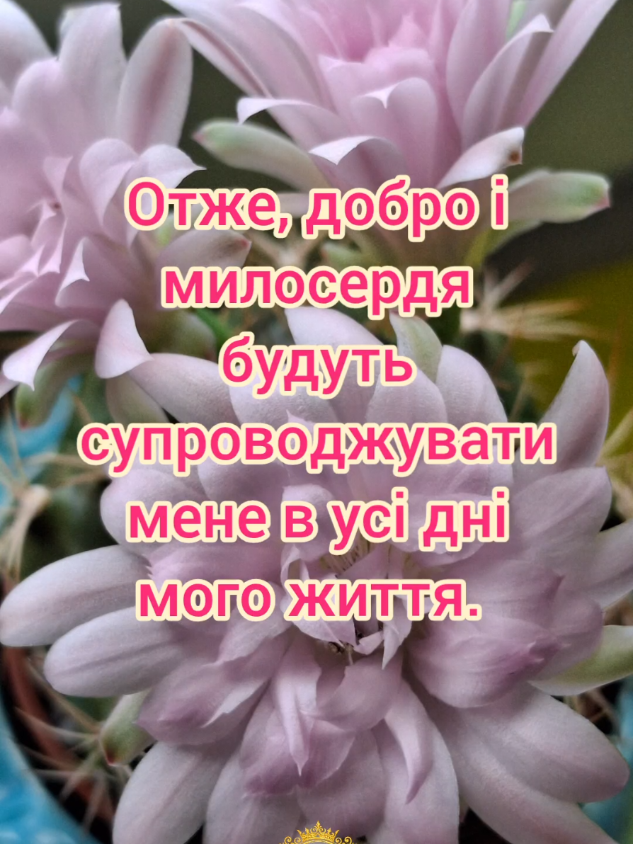 @Слова Неба